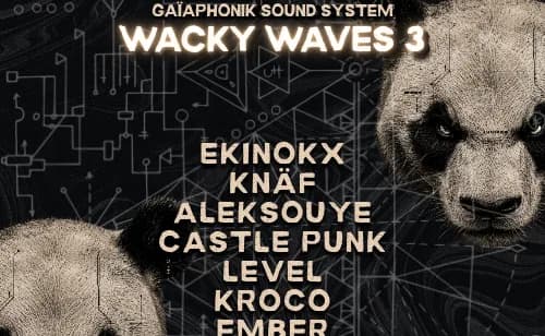 WACKY WAVES
